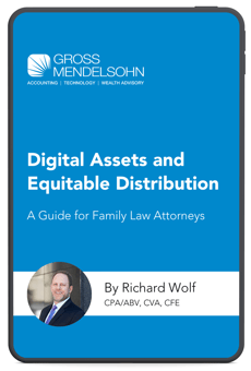 Digital Assets Guide for Family Law Attorneys 3D Cover