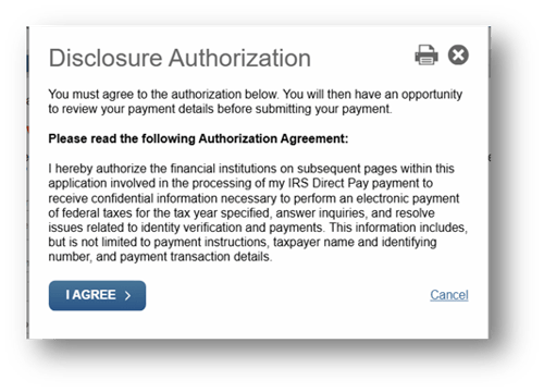 IRS Direct Pay - disclosures