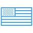 American flag icon