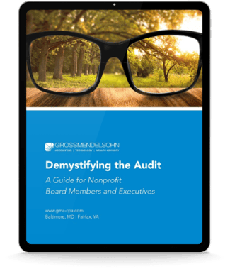 Demystifying the Audit Ebook 3D Screen 400px