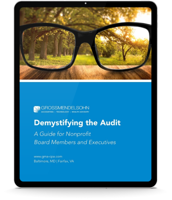 demystifying the audit ebook on ipad