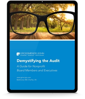 Demystifying the Audit Ebook 3D Screen 400px