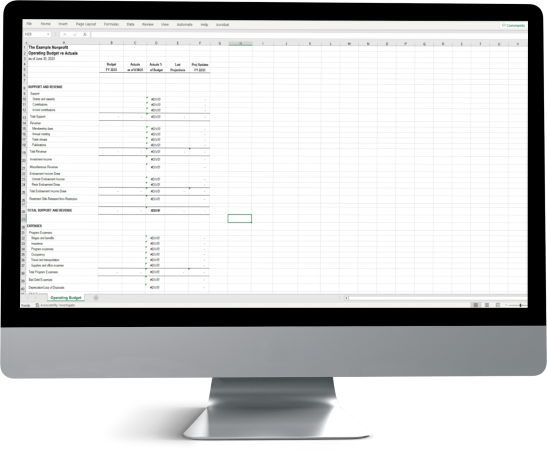 Nonprofit Budget Template 3D Screen