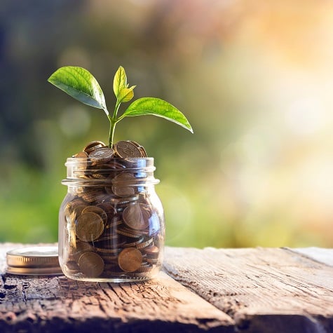 money growing in jar