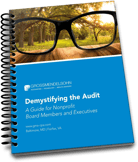 NPO Audit Guide