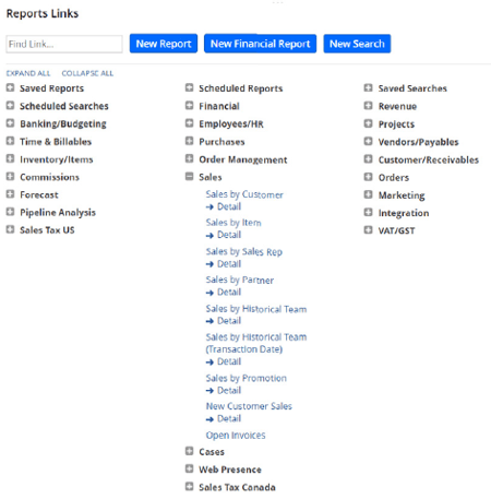 netsuite reports 1