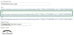 URL Field