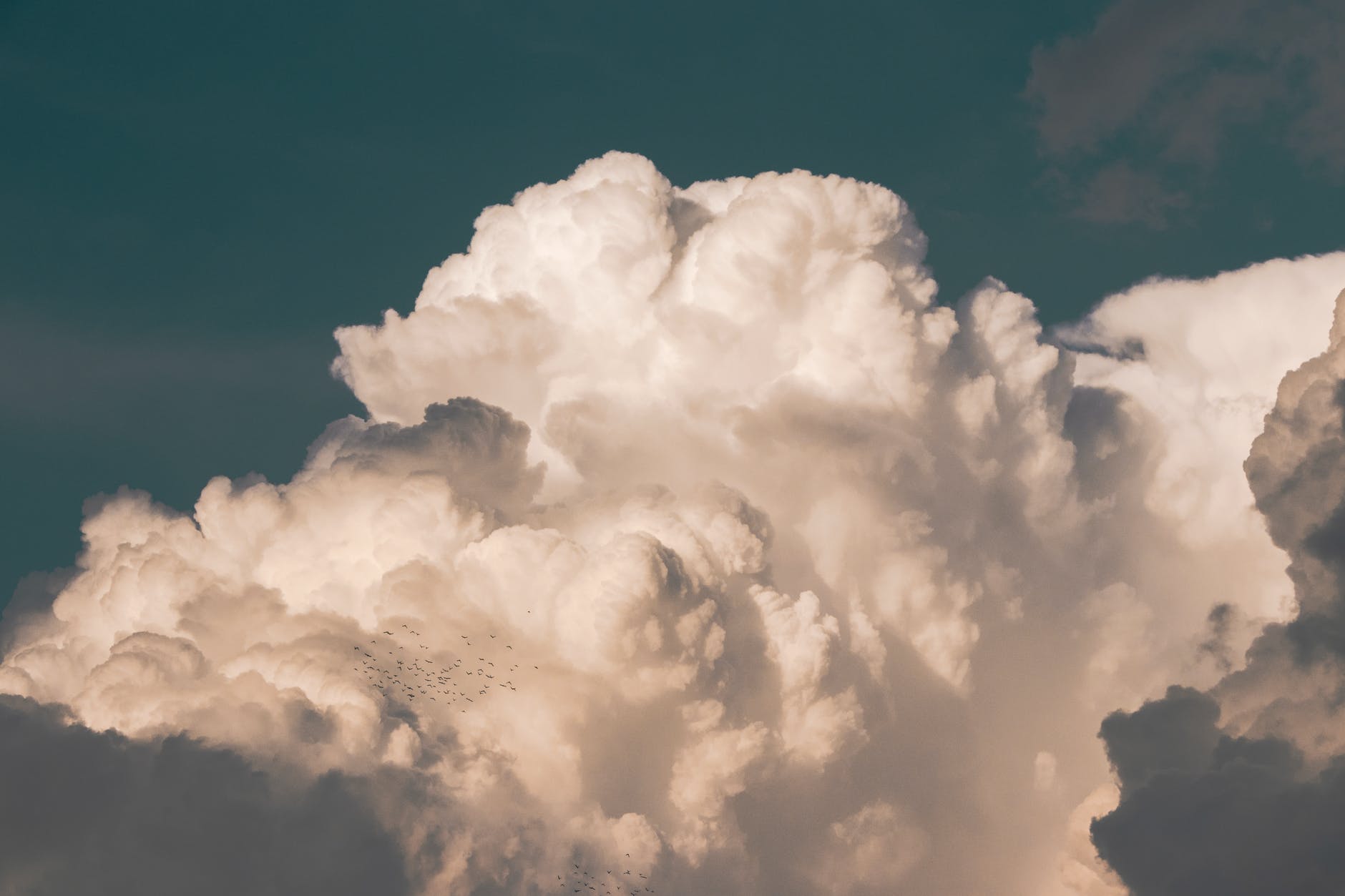 Cloud Hosting: Is It Right for Your Business?
