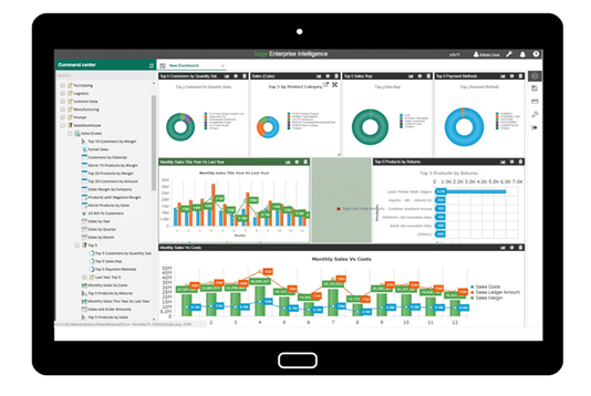 Sage Enterprise Intelligence 